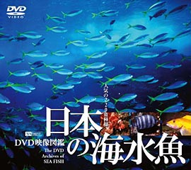 DVD「日本の海水魚」（SDA26）